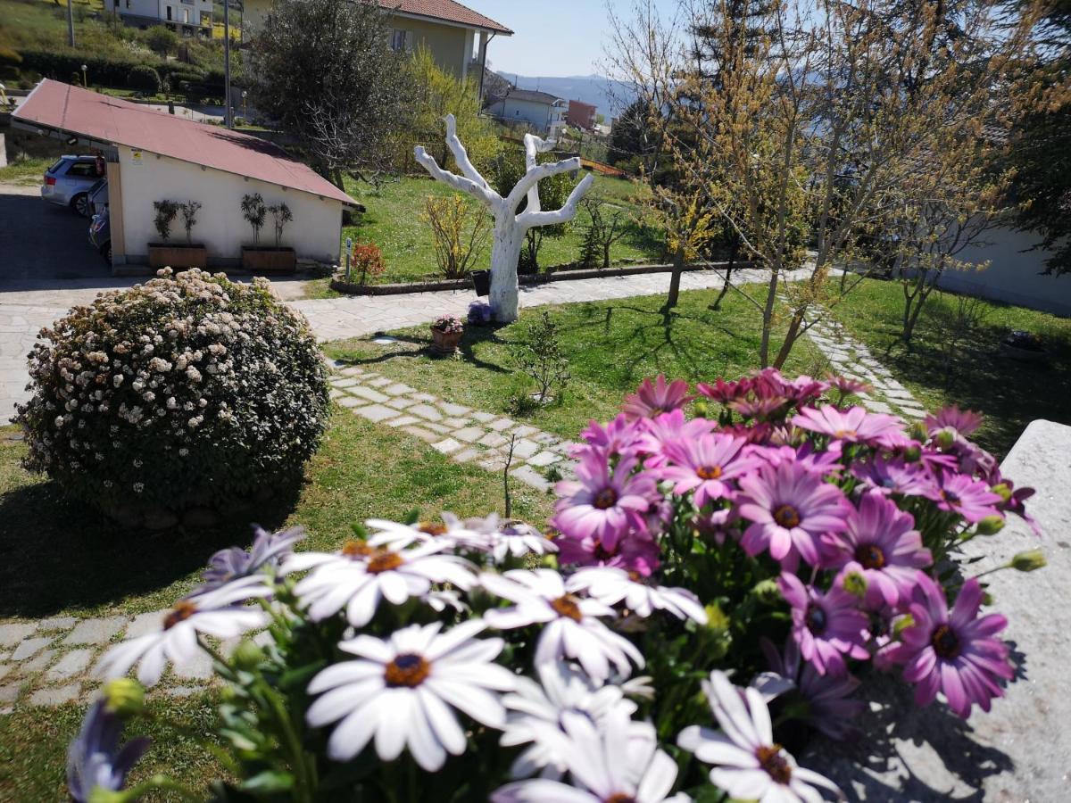 Gianmaria B&B Tricarico エクステリア 写真